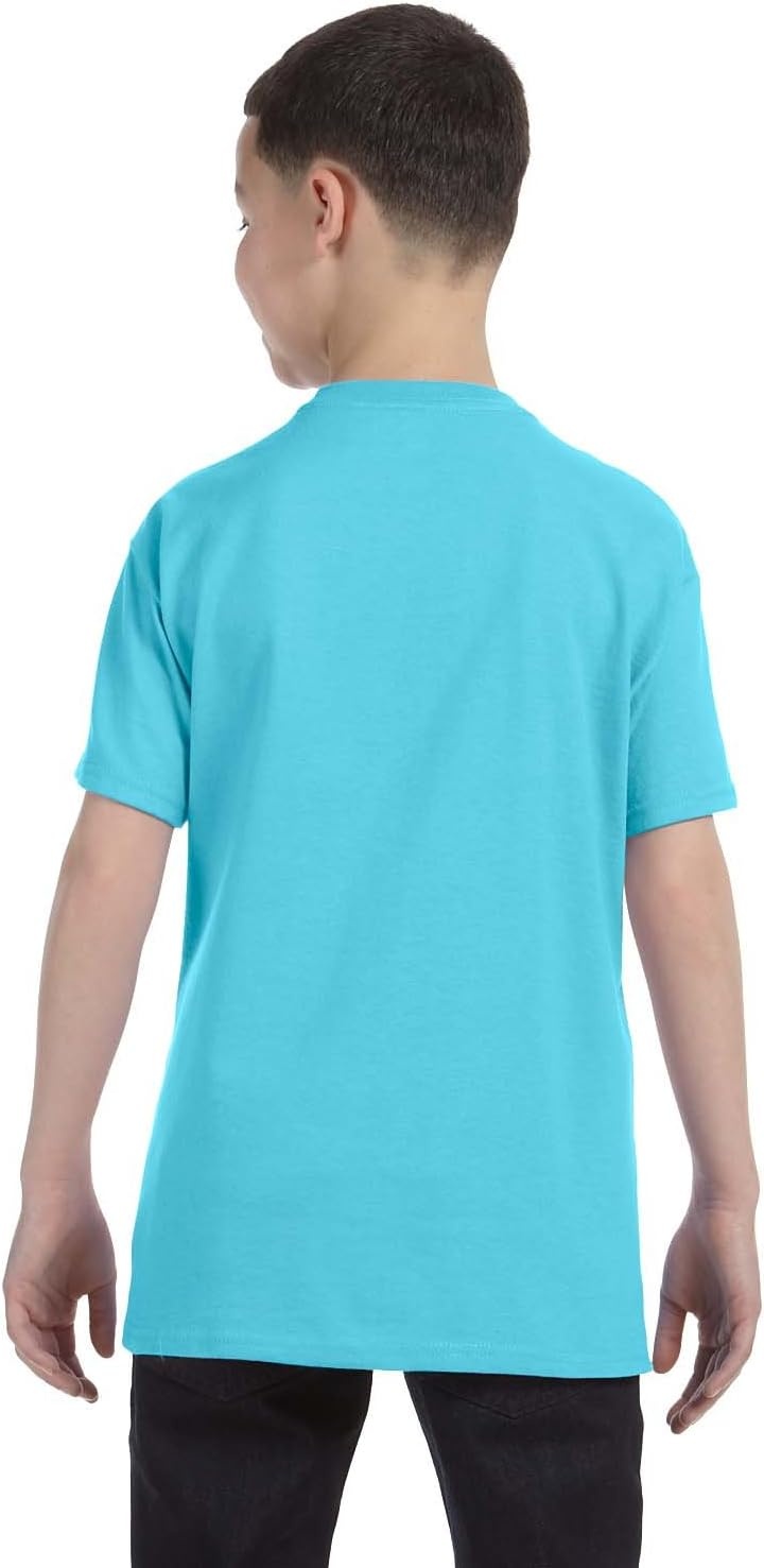 image:imageGildan Youth Ultra Cotton TShirt Style G2000B MultipackSky