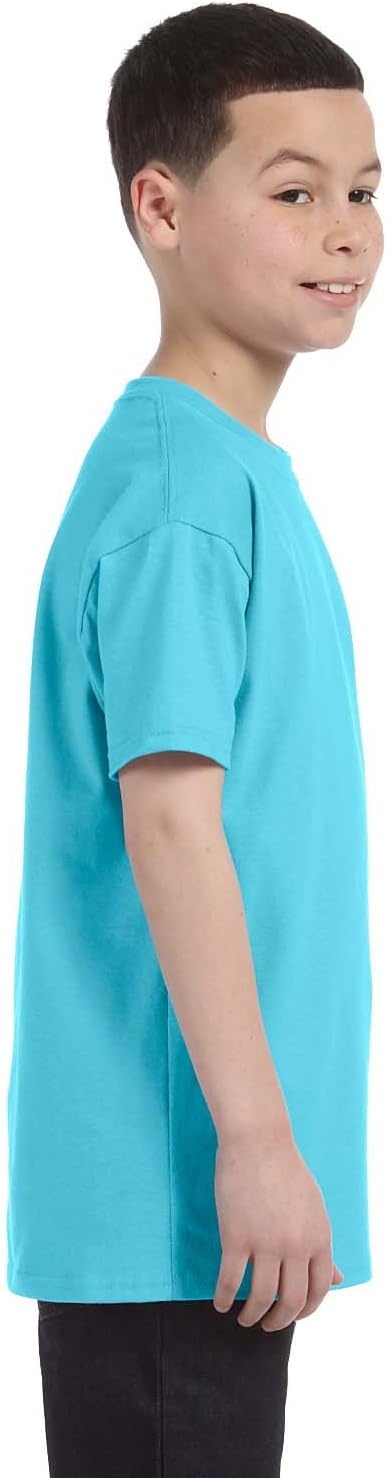 image:imageGildan Youth Ultra Cotton TShirt Style G2000B MultipackSky