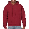 Gildan Adult Fleece Hoodie Sweatshirt, Style G18500, Multipack(Carolina Blue)