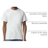 Gildan Adult Heavy Cotton T-Shirt, Style G5000(Ash Grey)