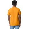 Gildan Adult Heavy Cotton T-Shirt, Style G5000(Gold)