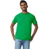Gildan Adult Heavy Cotton T-Shirt, Style G5000(Irish Green)