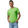 Gildan Adult Heavy Cotton T-Shirt, Style G5000(Lime)
