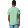 Gildan Adult Heavy Cotton T-Shirt, Style G5000(Mint Green)