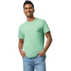 Gildan Adult Heavy Cotton T-Shirt, Style G5000(Mint Green)