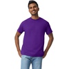 Gildan Adult Heavy Cotton T-Shirt, Style G5000(Purple)