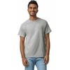 Gildan Adult Heavy Cotton T-Shirt, Style G5000(Sport Grey)