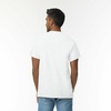 Gildan Adult Ultra Cotton T-Shirt, Style G2000, Multipack(Ash Grey)