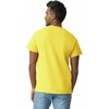 Gildan Adult Ultra Cotton T-Shirt, Style G2000, Multipack(Daisy)