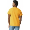 Gildan Adult Ultra Cotton T-Shirt, Style G2000, Multipack(Gold)