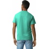 Gildan Adult Ultra Cotton T-Shirt, Style G2000, Multipack(Jade Dome)