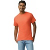 Gildan Adult Ultra Cotton T-Shirt, Style G2000, Multipack(Orange)