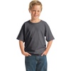 Gildan Unisex-Child Gildan Youth Heavy Cotton T-Shirt, Style G5000b, 2-Pack(Charcoal)