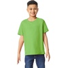 Gildan Unisex-Child Gildan Youth Heavy Cotton T-Shirt, Style G5000b, 2-Pack(Lime)