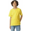 Gildan Youth Ultra Cotton T-Shirt, Style G2000B, Multipack(Daisy)