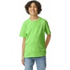Gildan Youth Ultra Cotton T-Shirt, Style G2000B, Multipack(Lime)