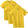 Gildan Adult Heavy Cotton T-Shirt, Style G5000(Daisy (3-pack))